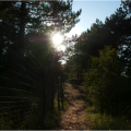 de sleutel tot verandering