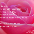 inspirerende quote